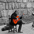 A splash of Flamenco Photograph by AM FineArtPrints A splash of Flamenco Photograph by AM FineArtPrints
