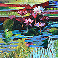 A Splash of Sunlight by John Lautermilch A Splash of Sunlight by John Lautermilch