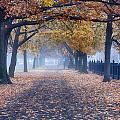 A walk in Salem fog Photograph by Jeff Folger A walk in Salem fog Photograph by Jeff Folger