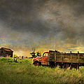 Abandoned Farm Truck Photograph by Theresa Tahara Abandoned Farm Truck Photograph by Theresa Tahara