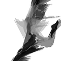 Abstract Dance Digital Art by Rafael Salazar Abstract Dance Digital Art by Rafael Salazar