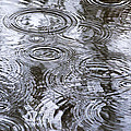 Abstract Raindrops Photograph by Christina Rollo Abstract Raindrops Photograph by Christina Rollo