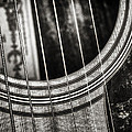 Acoustically Speaking Photograph by Scott Norris Acoustically Speaking Photograph by Scott Norris