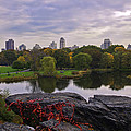 Across The Pond 2 - Central Park - Nyc by Madeline Ellis Across The Pond 2 - Central Park - Nyc by Madeline Ellis