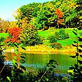 Across the Pond Photograph by Darren Robinson Across the Pond Photograph by Darren Robinson