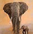 African Elephants Painting by David Stribbling African Elephants Painting by David Stribbling