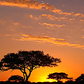 African Sunset Photograph by Sebastian Musial African Sunset Photograph by Sebastian Musial