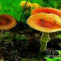 After the Rain by Francine Dufour Jones