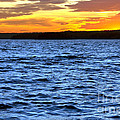 Afterglow by Olivier Le Queinec Afterglow by Olivier Le Queinec