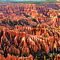 Afternoon Hoodoos by Robert Bales Afternoon Hoodoos by Robert Bales