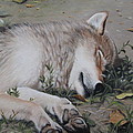 Afternoon Nap Painting by Tammy Taylor Afternoon Nap Painting by Tammy Taylor