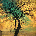 Afterthought by Zapista OU Afterthought by Zapista OU