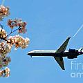 Air Tran Airlines by Jost Houk Air Tran Airlines by Jost Houk