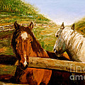 Alberta Horse Farm Painting by Sher Nasser Alberta Horse Farm Painting by Sher Nasser