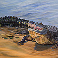 Alligator. Face to face by Zina Stromberg