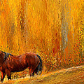 Alone In Grandeur- Bay Horse Paintings Painting by Lourry Legarde Alone In Grandeur- Bay Horse Paintings Painting by Lourry Legarde