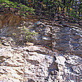Along The Blue Ridge by Marian Bell Along The Blue Ridge by Marian Bell