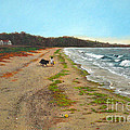 Along the shore in Hyde Hole Beach Rhode Island Painting by Christopher Shellhammer Along the shore in Hyde Hole Beach Rhode Island Painting by Christopher Shellhammer