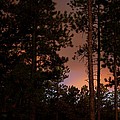 Alpine Sunrise Photograph by Greni Graph Alpine Sunrise Photograph by Greni Graph