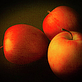 Ambrosia Apples Photograph by Theresa Tahara Ambrosia Apples Photograph by Theresa Tahara