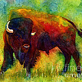 American Buffalo Painting by Hailey E Herrera American Buffalo Painting by Hailey E Herrera