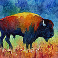 American Buffalo II Painting by Hailey E Herrera American Buffalo II Painting by Hailey E Herrera