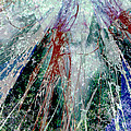 Amid the Falling Snow Digital Art by Seth Weaver Amid the Falling Snow Digital Art by Seth Weaver