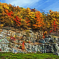 An Autumn Day Painted by Steve Harrington An Autumn Day Painted by Steve Harrington