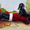An Early Christmas by Stella Violano