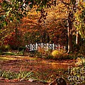 An Oasis by Marcia Lee Jones