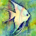 Angelfish I Painting by Hailey E Herrera Angelfish I Painting by Hailey E Herrera