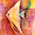 Angelfish II Painting by Hailey E Herrera Angelfish II Painting by Hailey E Herrera