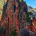 Angel's Landing by Chad Dutson Angel's Landing by Chad Dutson
