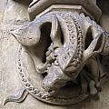 Angry Dragon Photograph by Denise Railey Angry Dragon Photograph by Denise Railey