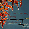 Another Chance Photograph by Micki Findlay Another Chance Photograph by Micki Findlay