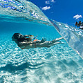 Aqua Dive Photograph by Sean Davey Aqua Dive Photograph by Sean Davey