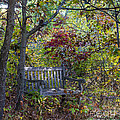 Arboretum bench Photograph by Steven Ralser Arboretum bench Photograph by Steven Ralser
