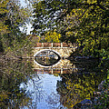 Arboretum Drive Bridge - Madison - Wisconsin Photograph by Steven Ralser Arboretum Drive Bridge - Madison - Wisconsin Photograph by Steven Ralser