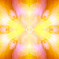 Archangel Jophiel Digital Art by Diana Haronis Archangel Jophiel Digital Art by Diana Haronis
