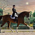 Art Of Dressage by Fran J Scott Art Of Dressage by Fran J Scott
