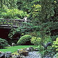 Asian Garden Photograph by Robert Isear Asian Garden Photograph by Robert Isear