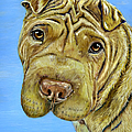 Beautiful Shar-pei Dog Portrait by Michelle Wrighton