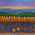 Aspen Perspective by Johnathan Harris Aspen Perspective by Johnathan Harris