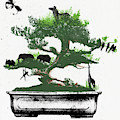 Assorted Animals In Bonsai Tree Photograph by Ikon Ikon Images Assorted Animals In Bonsai Tree Photograph by Ikon Ikon Images