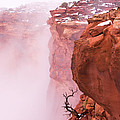 Atop Canyonlands by Chad Dutson Atop Canyonlands by Chad Dutson