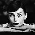 Audrey Hepburn Photograph by George Daniell