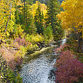 Autumn Color Along Spearfish Creek Photograph by Greni Graph Autumn Color Along Spearfish Creek Photograph by Greni Graph