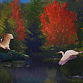 Autumn Flight Photograph by Melinda Hughes-Berland
