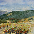 Harvest Time In Napa Valley Painting by Maria Hunt Harvest Time In Napa Valley Painting by Maria Hunt
