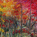 Autumn In The Woods by Karin Dawn Kelshall- Best Autumn In The Woods by Karin Dawn Kelshall- Best